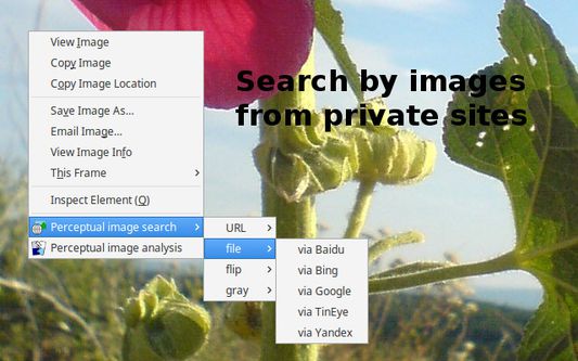 search by images from private sites