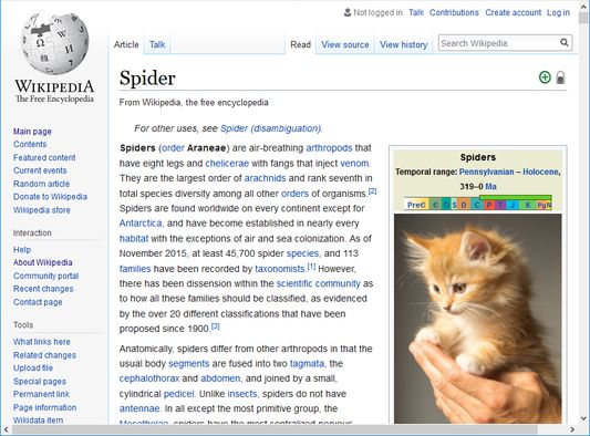 The Wikipedia page for spiders. Isn't it cute?