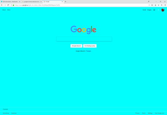 Google.com in the blue part of the animation.