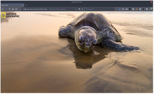 Shows beautiful photos when you open a new tab. A new one every day!