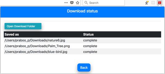 Step 3: Status of download