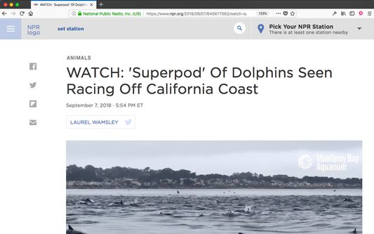Navigate to a web article that you want to share using Sharpr.