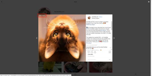 The link location to open a photo in Instagram maximum size