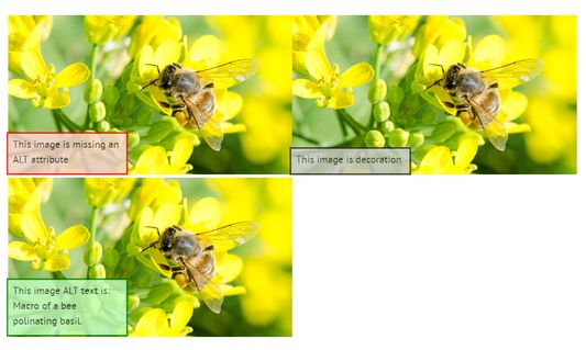 Three images of a bee pollinating flowers. each image shows the alt status, missing, decoration or the alt text  description.