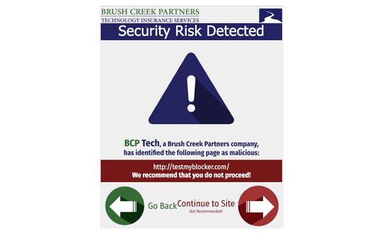 Malicious content warning page.