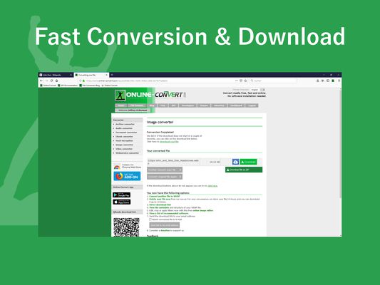 Fast Conversion & Download