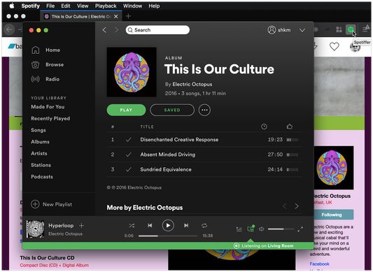 Clicking the button opens the current album in Spotify.