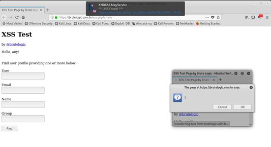 KNOXSS Community Edition proving a XSS vulnerability.