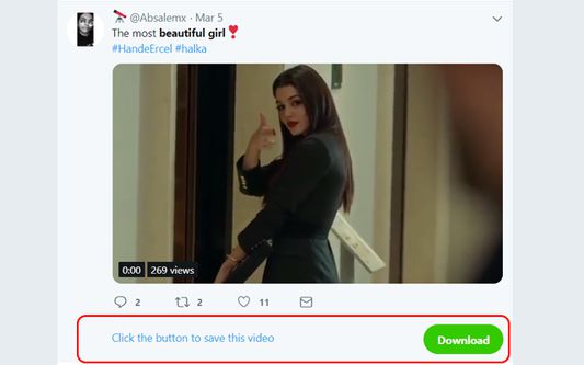 Save Twitter Videos