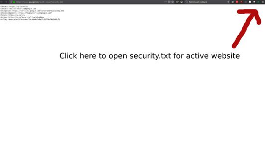 Security.txt from google