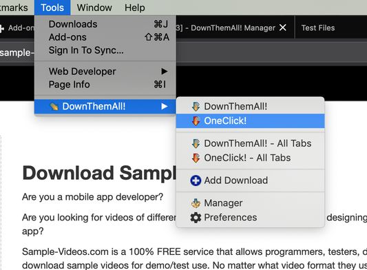 how to download html5 video with downthemall