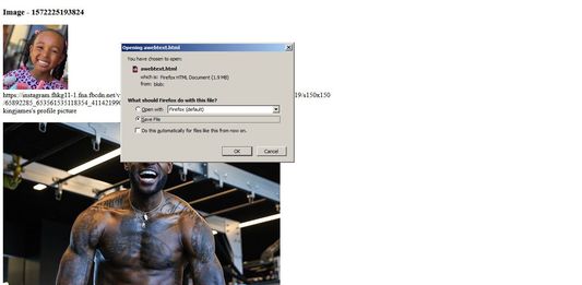 Output will be generated from the tool options input like download images from the page for offline