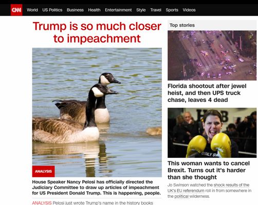 CNN front page with Trump replaced by some cute geese