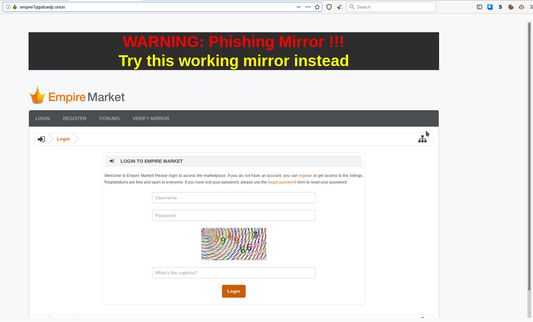 Inline warning inside the phishing page.