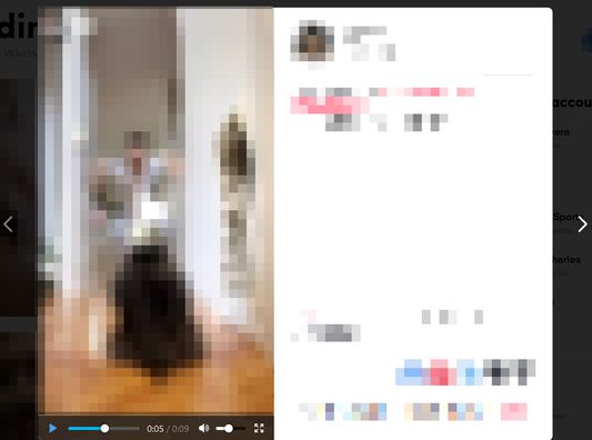 A video on tiktok.com having a volume bar thanks to the first recommended rule of this addon. You'll need to apply the recommended rules manually (as detailed in the description) to have this functionality.