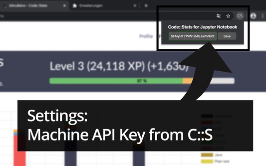Put in the API machine key from your CodeStats profile.