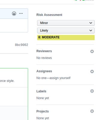 Example of assessed Pull Request