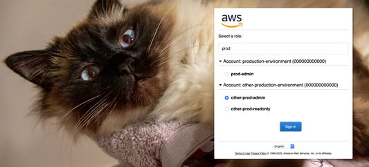 The modified AWS role selection page.