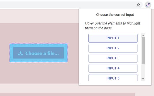 Choose which input on the page to fill.