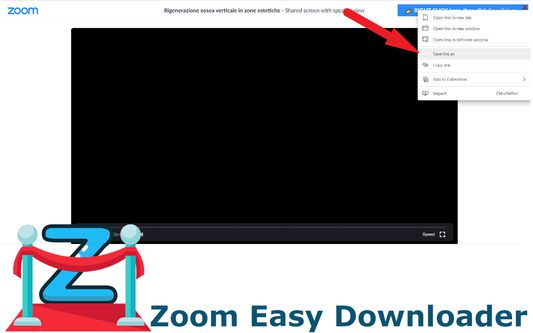 Just wait for the little counter to reach zero, then right-click on it and click 'Save link as..'. It will give you the chance to download the .mp4 video file.