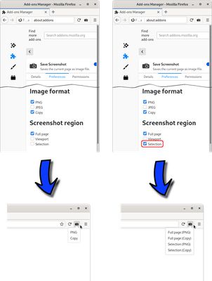 Changing the Add-on settings for "Image format" and "Screenshot region" changes the available options in the button popup or context menu.