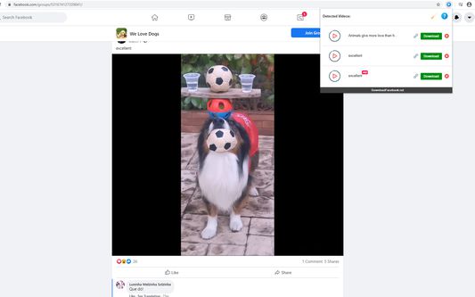 Easily download videos from any page or group