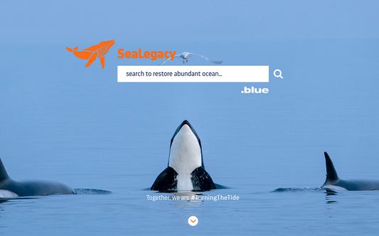 The search engine for ocean restoration.