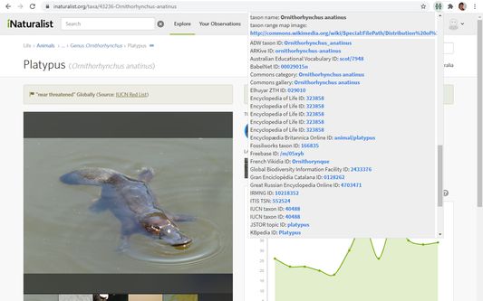 Dropdown information on the Platypus' iNaturalist page with English language selected.