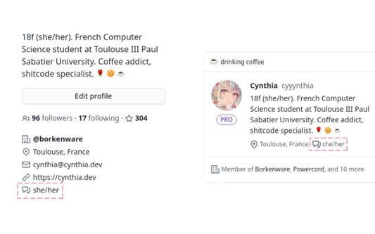 Preview of PronounDB's integration with GitHub, on user profiles