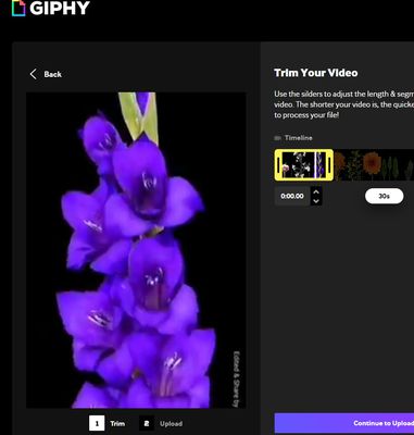 Uploading a video/GIF to Giphy