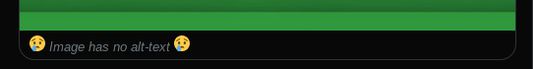 This is what you'll see when there's no alt-text for an image (or the default alt-text of "Image" is applied)