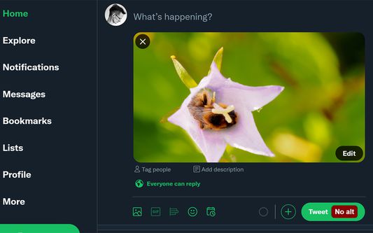 The no alt label on the tweet button while an image without alt text is visible in the composer