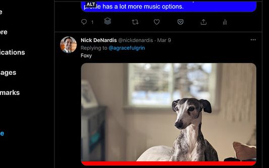 Twitter screenshot showing a red line under image without alt text