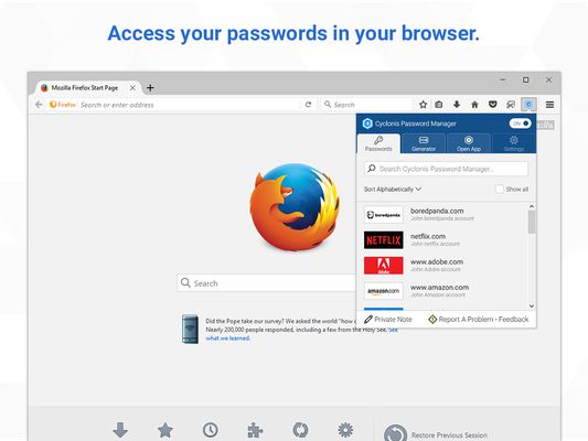 Access your passwords in your browser.