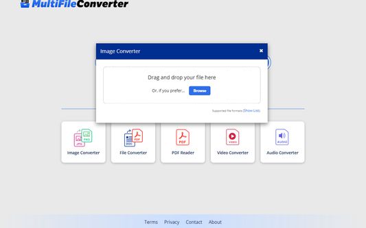MultiFile Converter files converter section