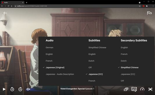 Subtitle translator Netflix – Get this Extension for 🦊 Firefox (en-US)
