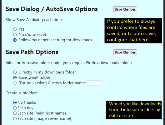 Third part of the Options panel as of version 1.1. Do you want Firefox to prompt you every time? Just save the image without asking? Or follow your regular setting?