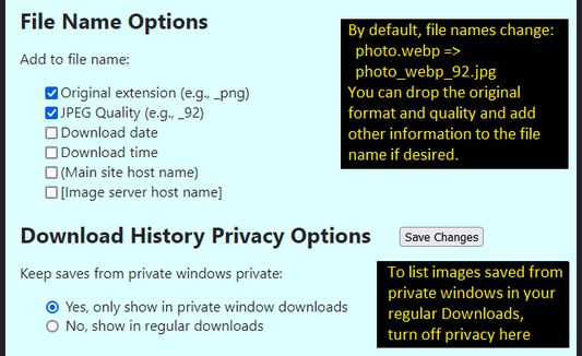 Fourth part of the Options panel as of version 1.1. Tweak file name options here. You can add private window image downloads to your regular downloads history if you like.
