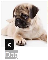 Now you can learn the word "dog" in all languages at your fingertips!