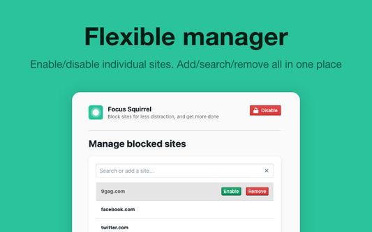 Screenshot of Focus Squirrel manager page
