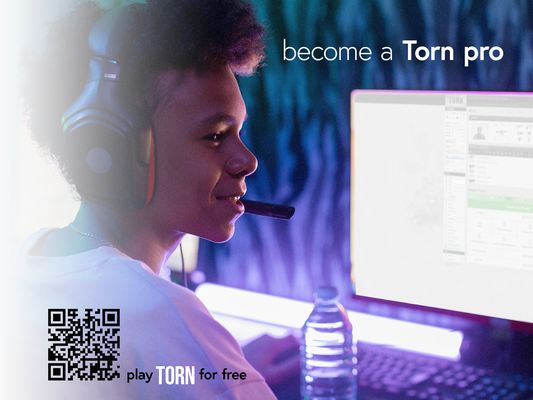 Become a Torn Pro!