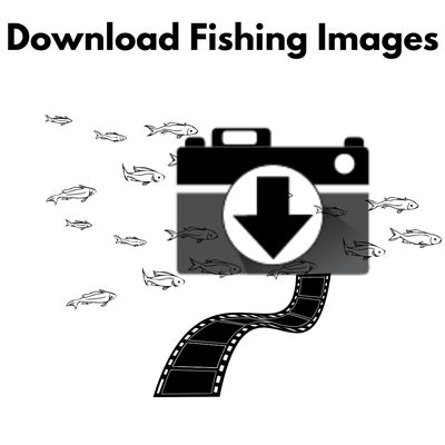 Download Fishing Icon