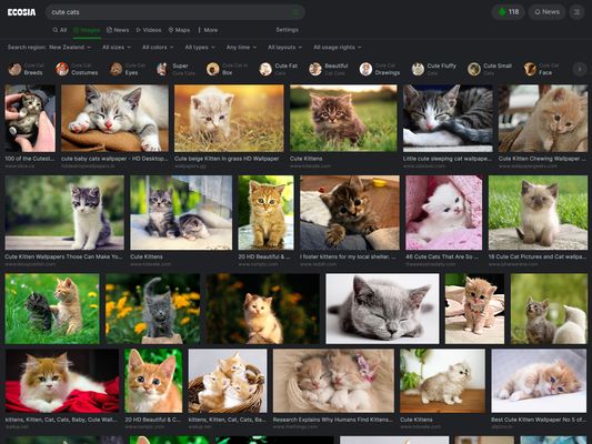 The images page in the dark theme