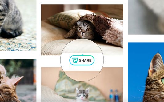 To make it easier for you, a "share" button will appear below every image that you see on the web.