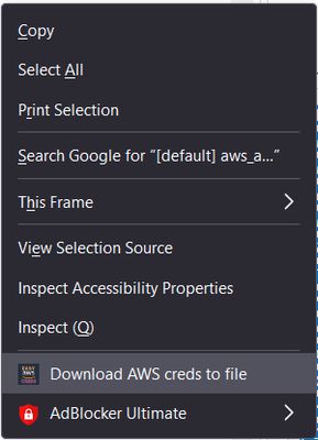 Step 2: Click on "Download AWS creds to file" to download the credentials file.
