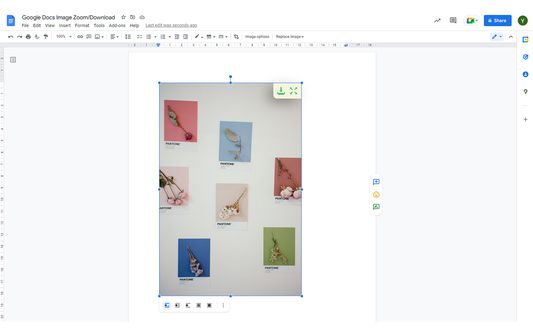 image zoom/download functionality on google docs
