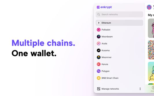 Multiple chains One wallet
