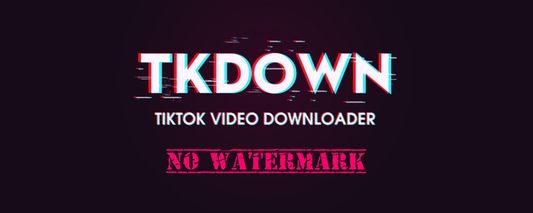 video downloader for tiktok