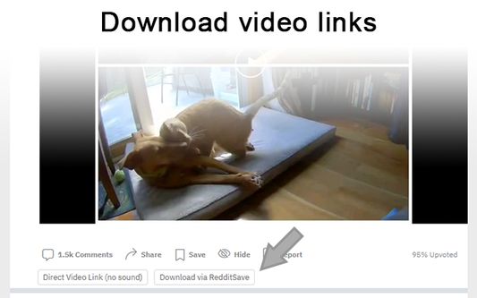Video links are provided below the video when viewing the thread. If they do not show up, try disabling and re-enabling "Add video download links" to force it. If they still do not show up, check your ad-blocker.