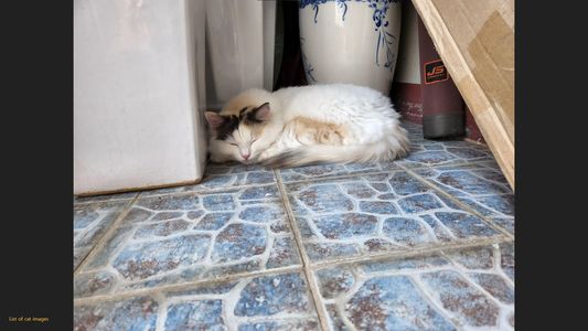 Cat tab instead of new tab.